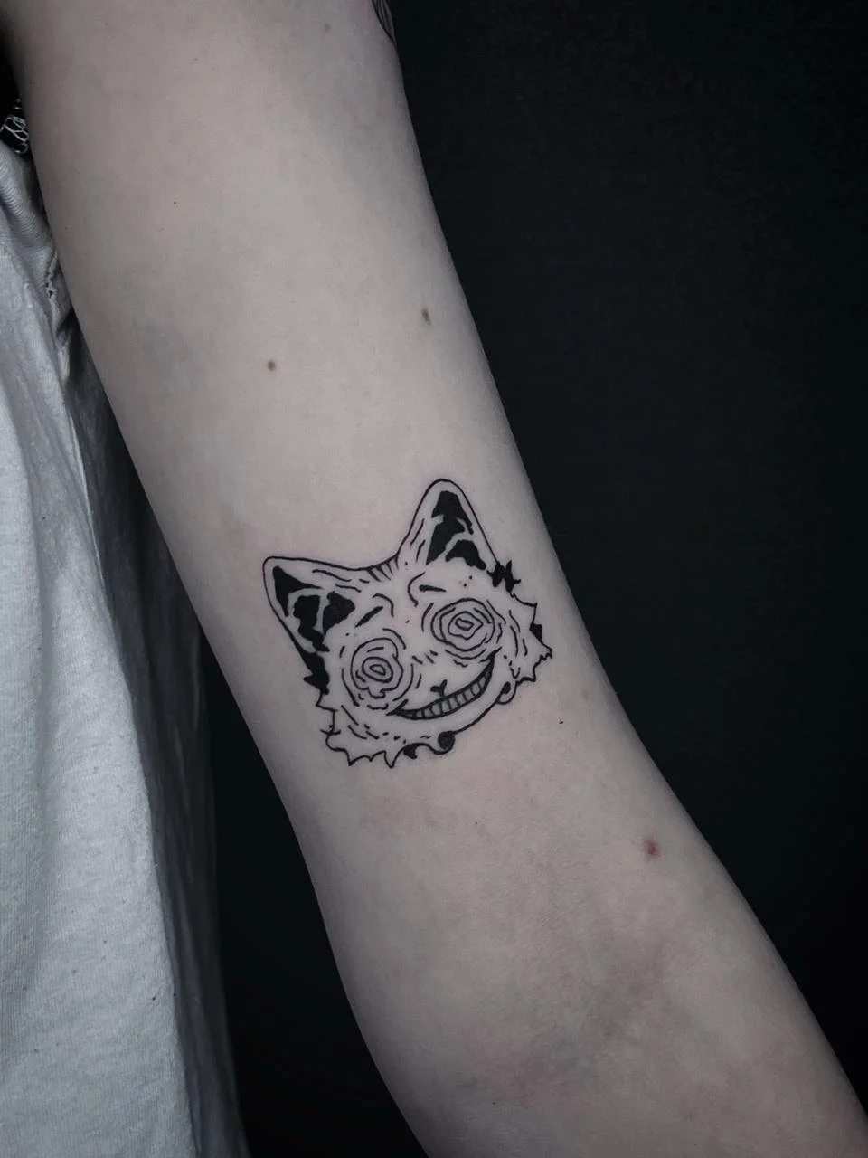 котик